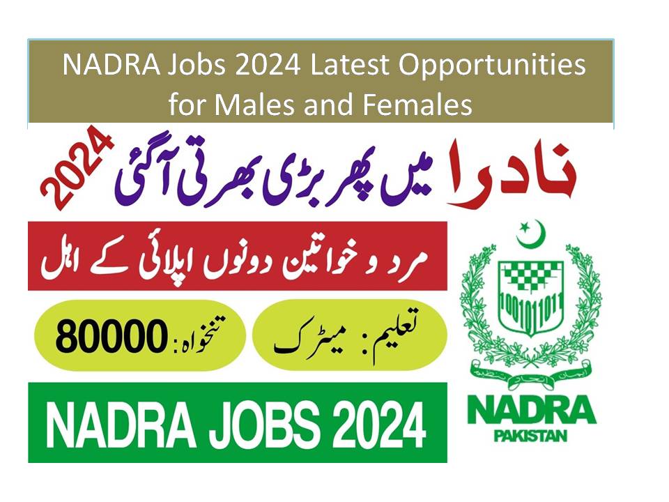 NADRA Jobs 2024 Latest Opportunities for Males and Females