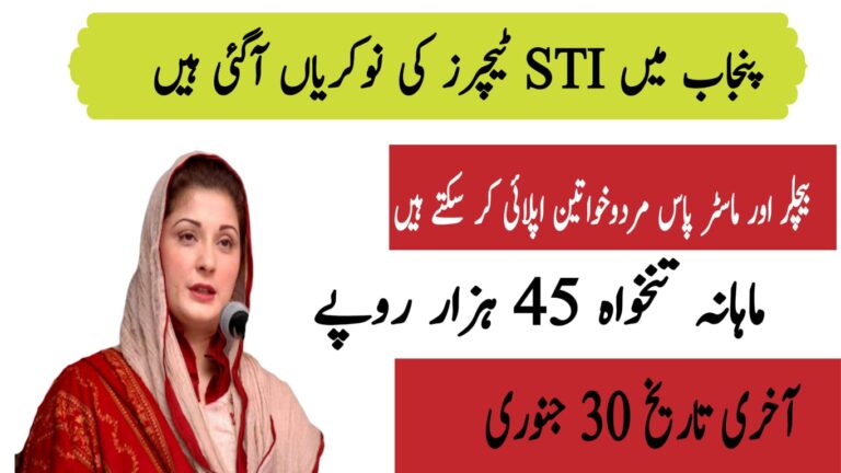 Schools Punjab Govt STI Jobs 2025
