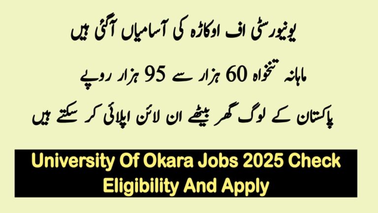 Punjab University of Okara Jobs 2025