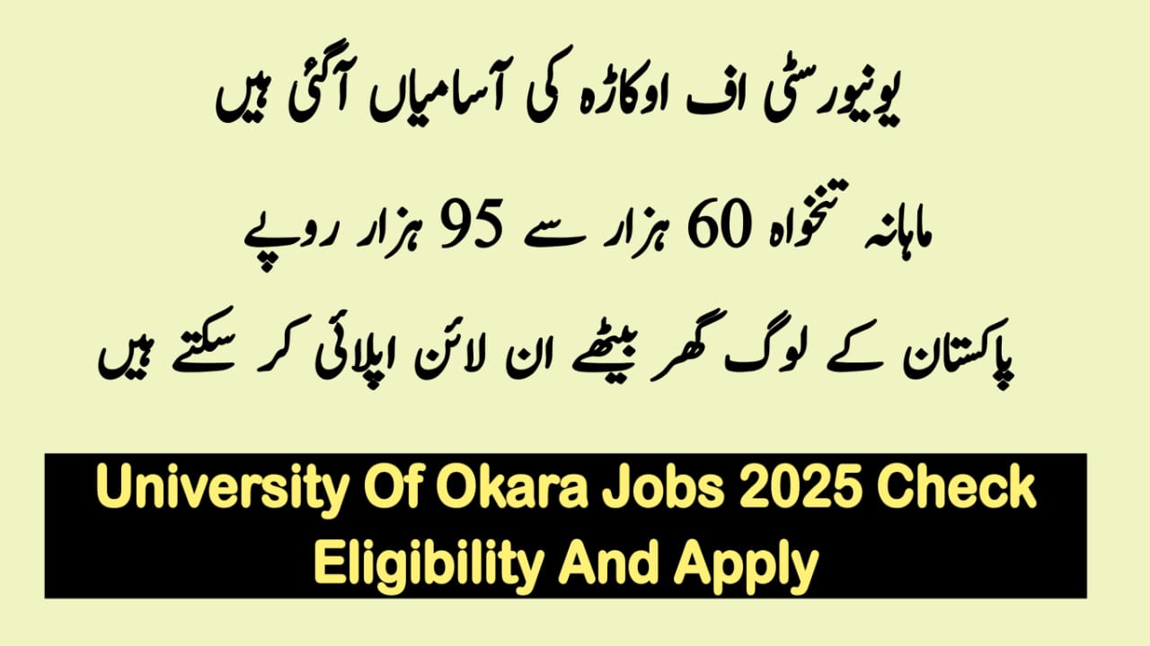 Punjab University of Okara Jobs 2025