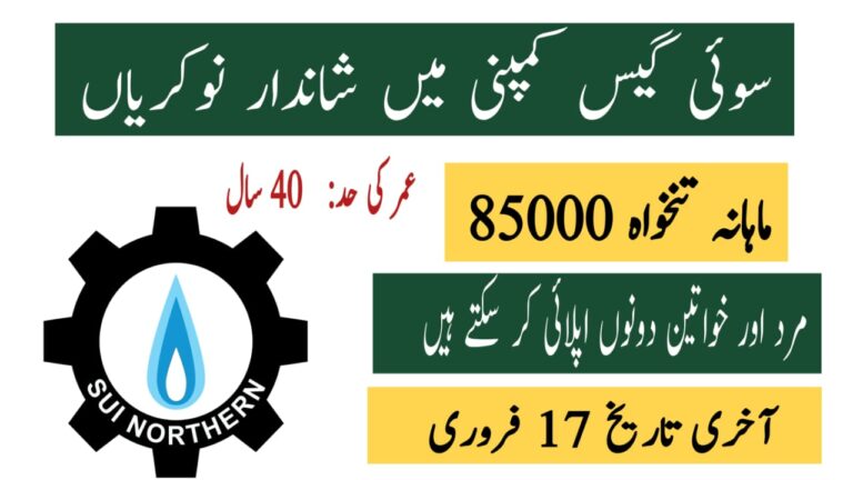 Sui Gas Jobs 2025 Online Apply