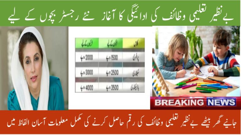 Benazir Taleemi Wazaif 2025 Updated Payment Schedule & Registration Guide