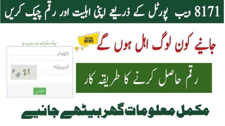 How to Verify Your 13,500 PKR Payment via the 8171 Web Portal Details