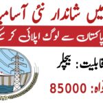 WAPDA Medical Jobs 2025