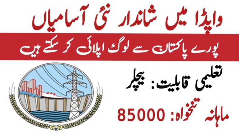 WAPDA Medical Jobs 2025