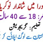 NADRA Junior Executive Jobs 2025