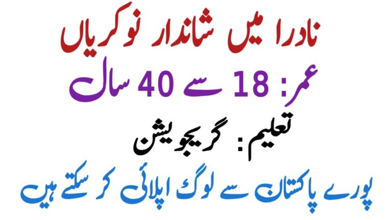 NADRA Junior Executive Jobs 2025