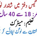 SSGC Apprenticeship job 2025