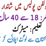 Punjab Dolphin Police Jobs 2025