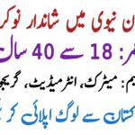 Pakistan Navy as a Graphic Designer 2025